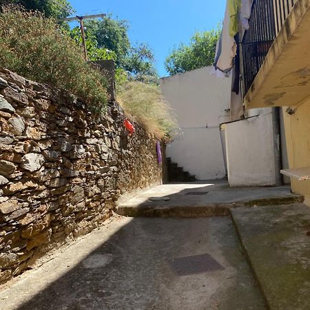 Bel Appartement A 3 Minutes De La Plage Bastia  Bagian luar foto